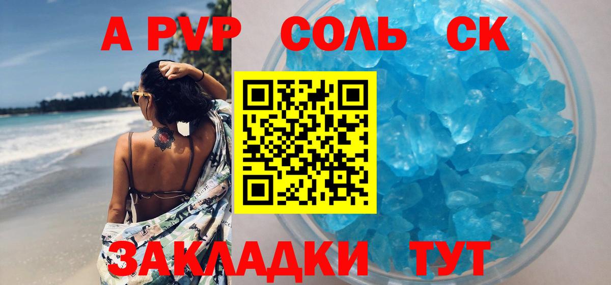 A PVP СК Арзамас