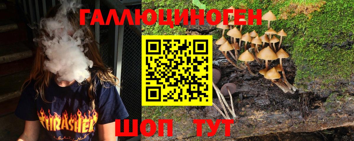 Псилоцибиновые грибы Psilocybine cubensis  Псилоцибиновые грибы ЛСД  Вход с VPN  Арзамас 