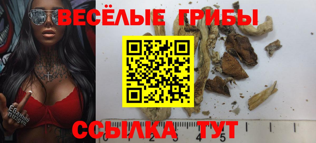 Псилоцибиновые грибы ЛСД Арзамас